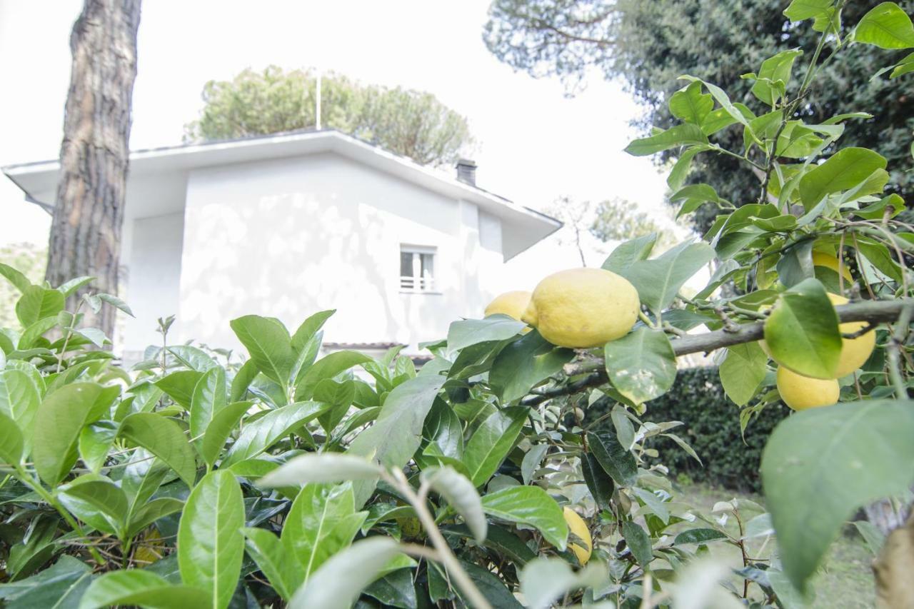 Appartamenti Federica Milano Marittima Exterior foto